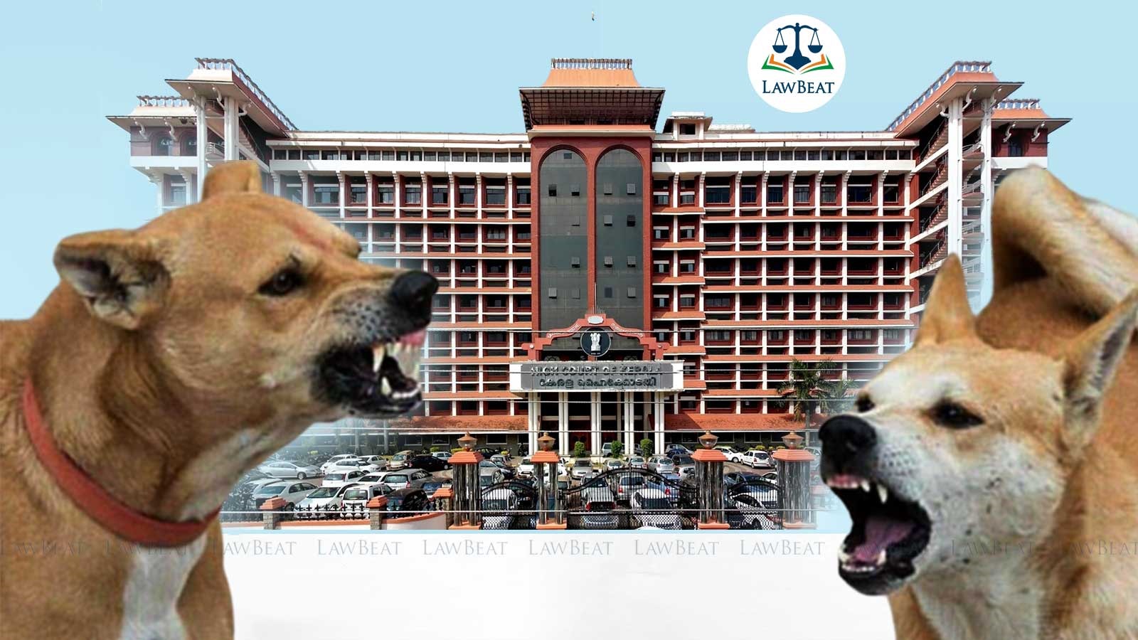 Stray Dog Numbers Rising: Kerala High Court Asks Dog Lovers to Step Up for Solution, Suggests Licencing Stray Dog Numbers Rising: Kerala High Court Asks Dog Lovers to Step Up for Solution, Suggests Licencing